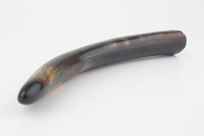 Restored woolly mammoth tusk