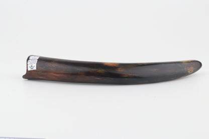 Restored woolly mammoth tusk