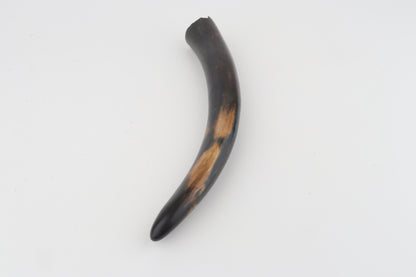 Restored woolly mammoth tusk