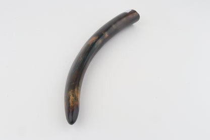 Restored woolly mammoth tusk