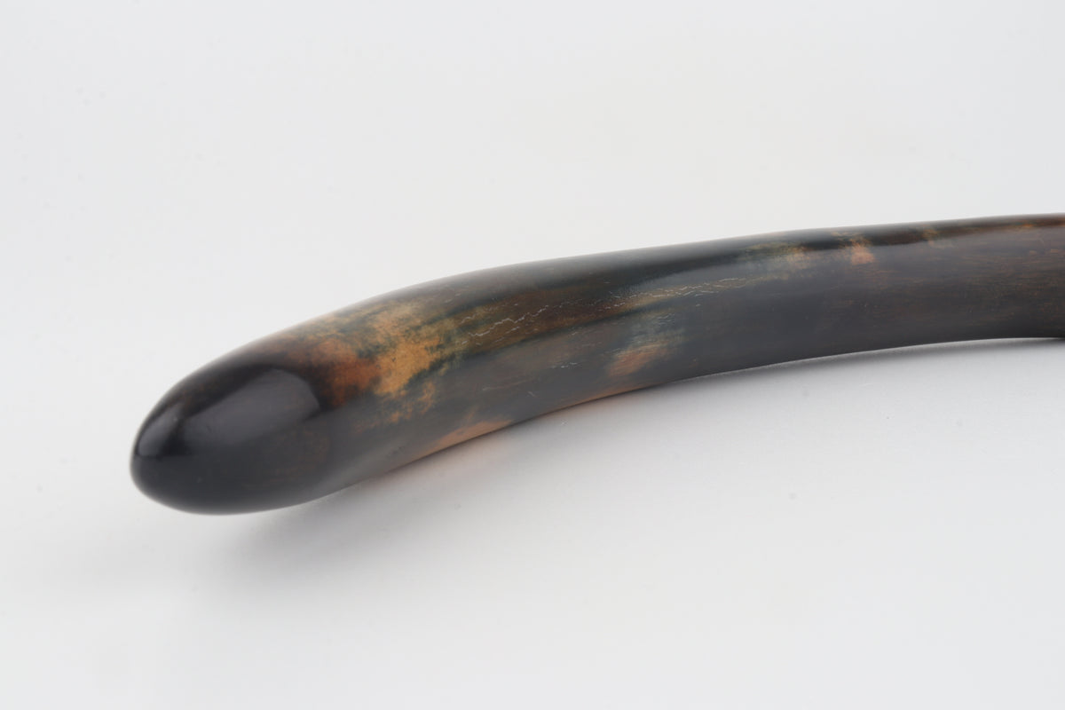 Restored woolly mammoth tusk