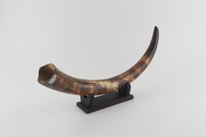 Restored woolly mammoth tusk