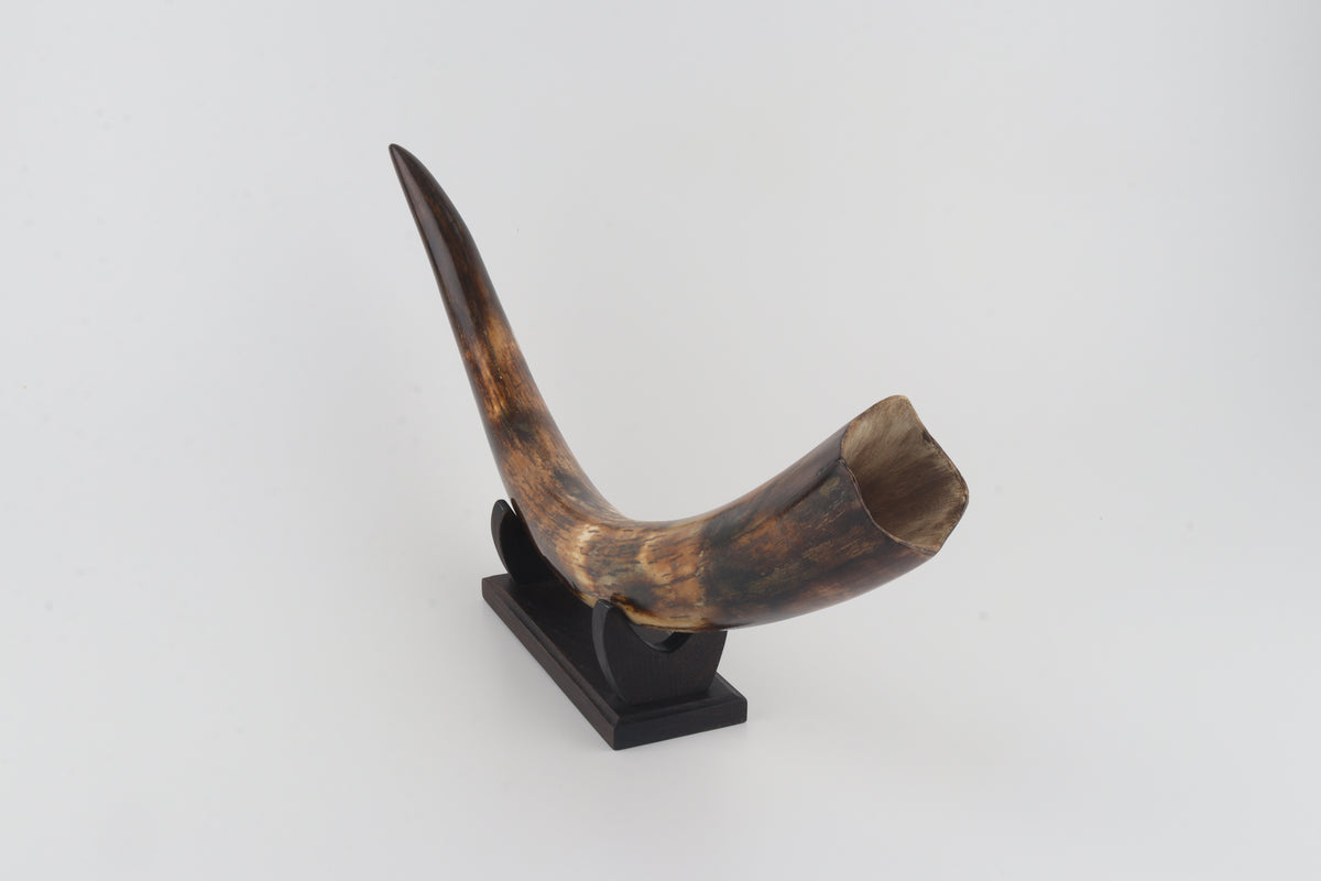 Restored woolly mammoth tusk