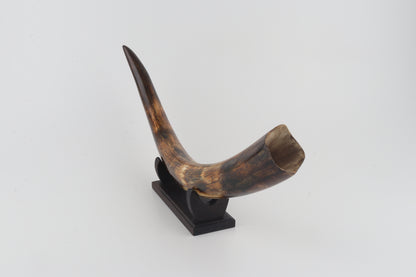 Restored woolly mammoth tusk