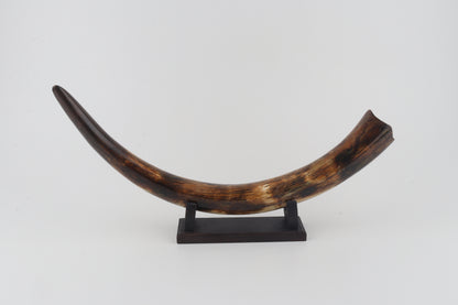 Restored woolly mammoth tusk