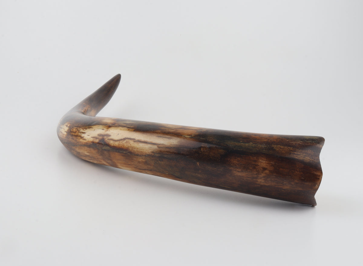 Restored woolly mammoth tusk