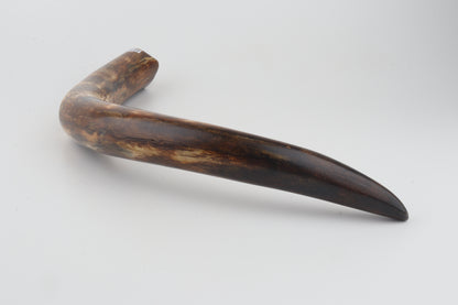 Restored woolly mammoth tusk