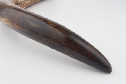 Restored woolly mammoth tusk