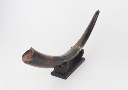 Restored woolly mammoth tusk