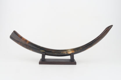 Restored woolly mammoth tusk