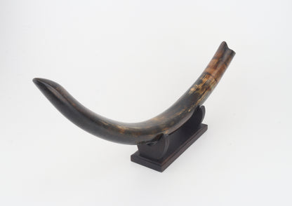 Restored woolly mammoth tusk