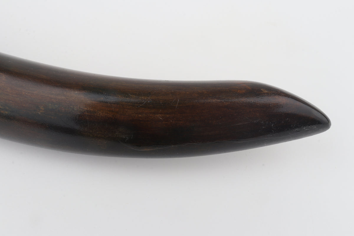 Restored woolly mammoth tusk