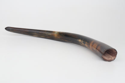Restored woolly mammoth tusk
