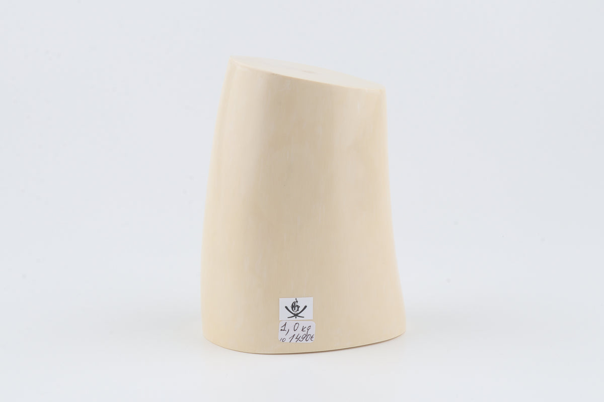 Round white mammoth ivory segment