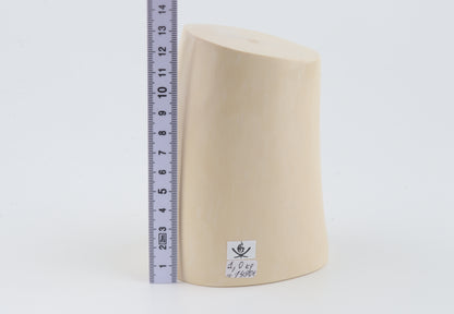 Round white mammoth ivory segment