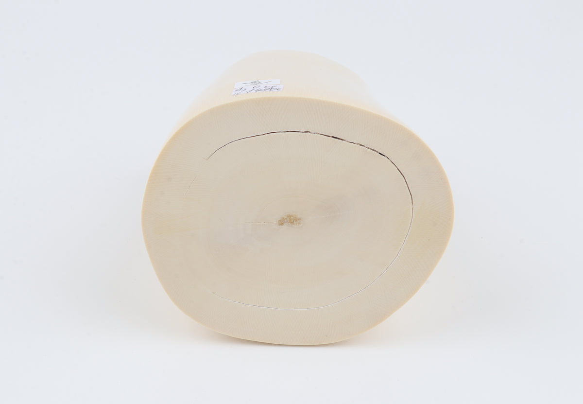 Round white mammoth ivory segment