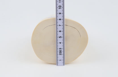 Round white mammoth ivory segment