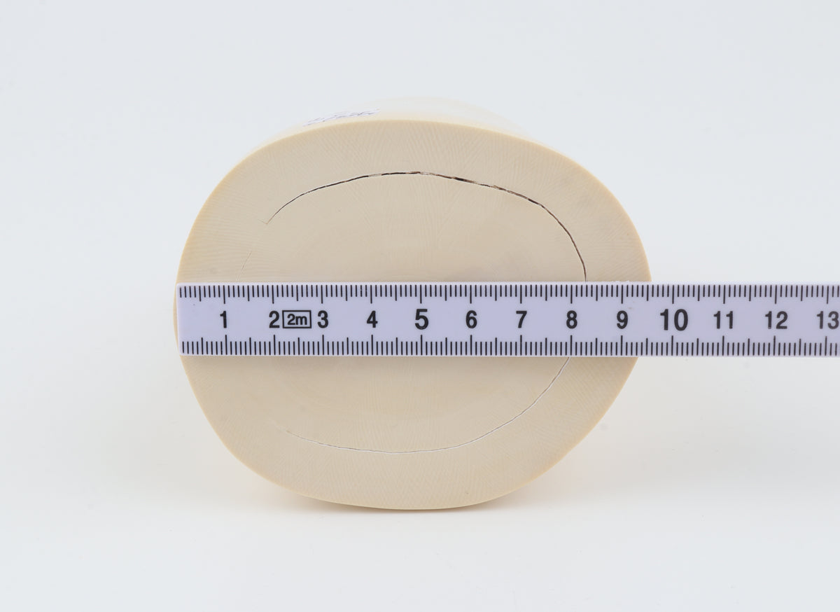 Round white mammoth ivory segment