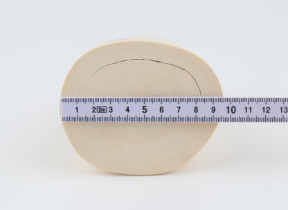 Round white mammoth ivory segment
