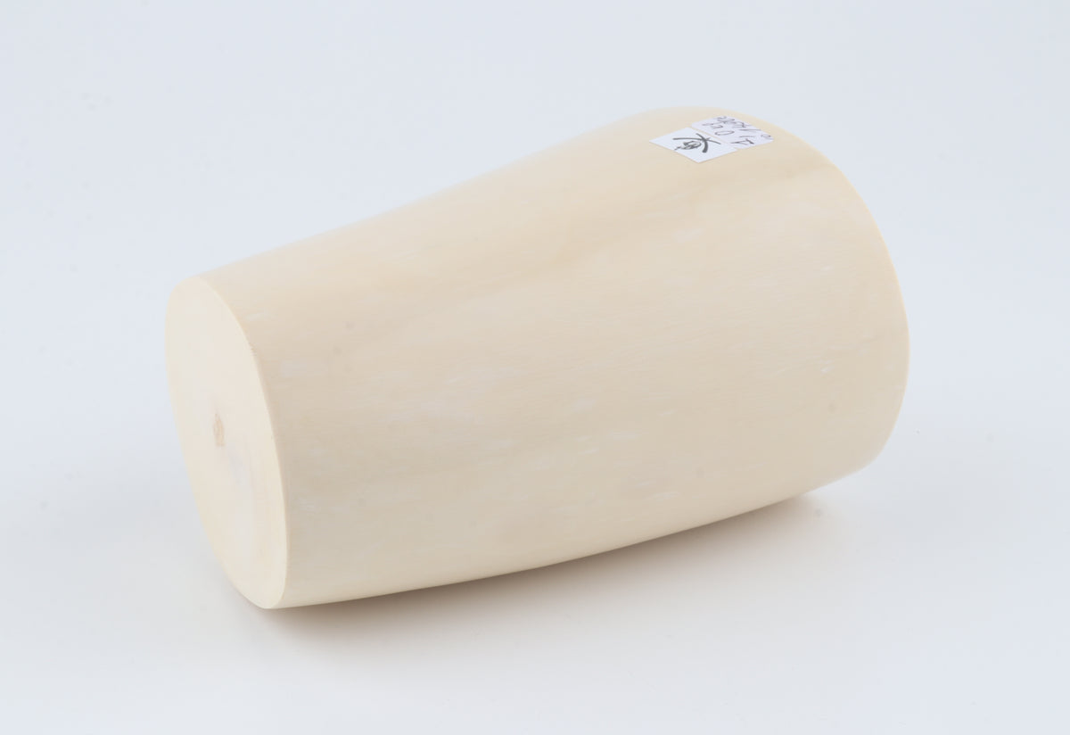 Round white mammoth ivory segment