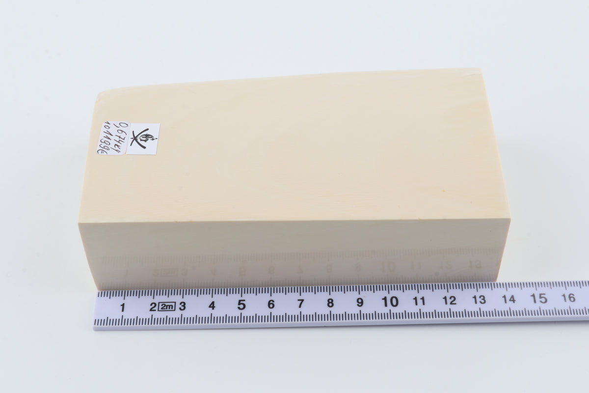 White mammoth ivory segment