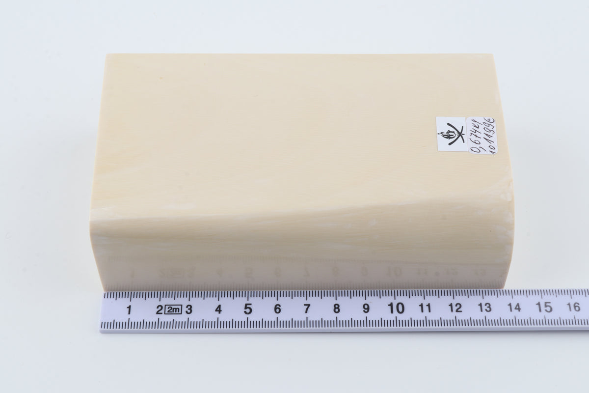 White mammoth ivory segment