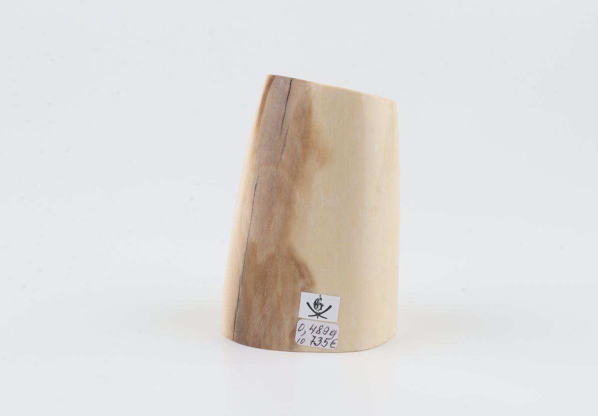Round mammoth ivory piece