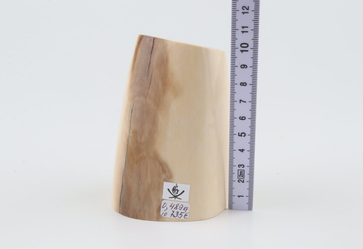 Round mammoth ivory piece