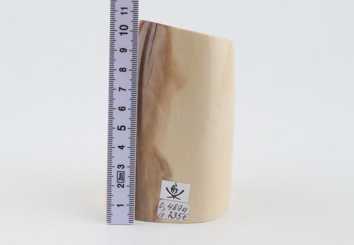 Round mammoth ivory piece