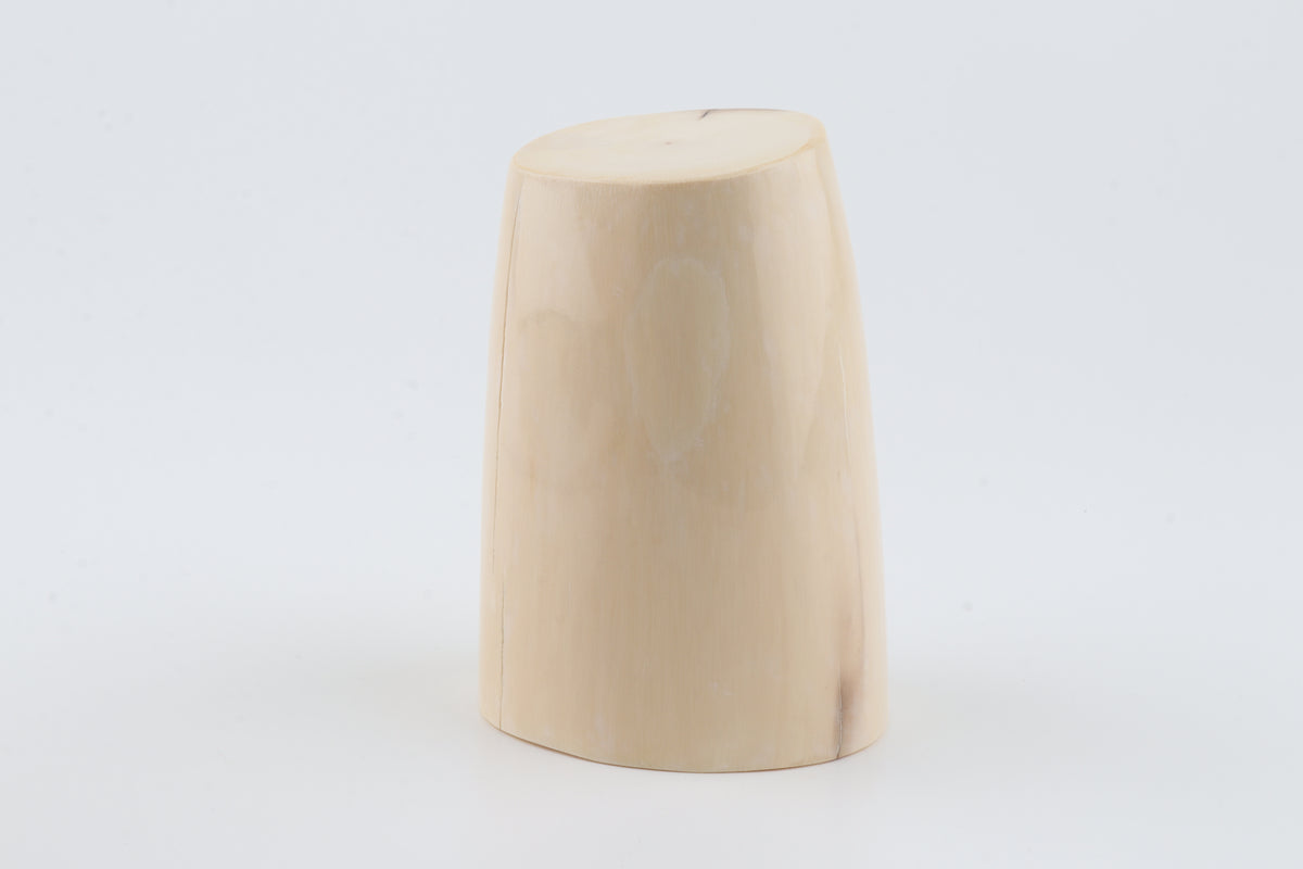 Round mammoth ivory piece