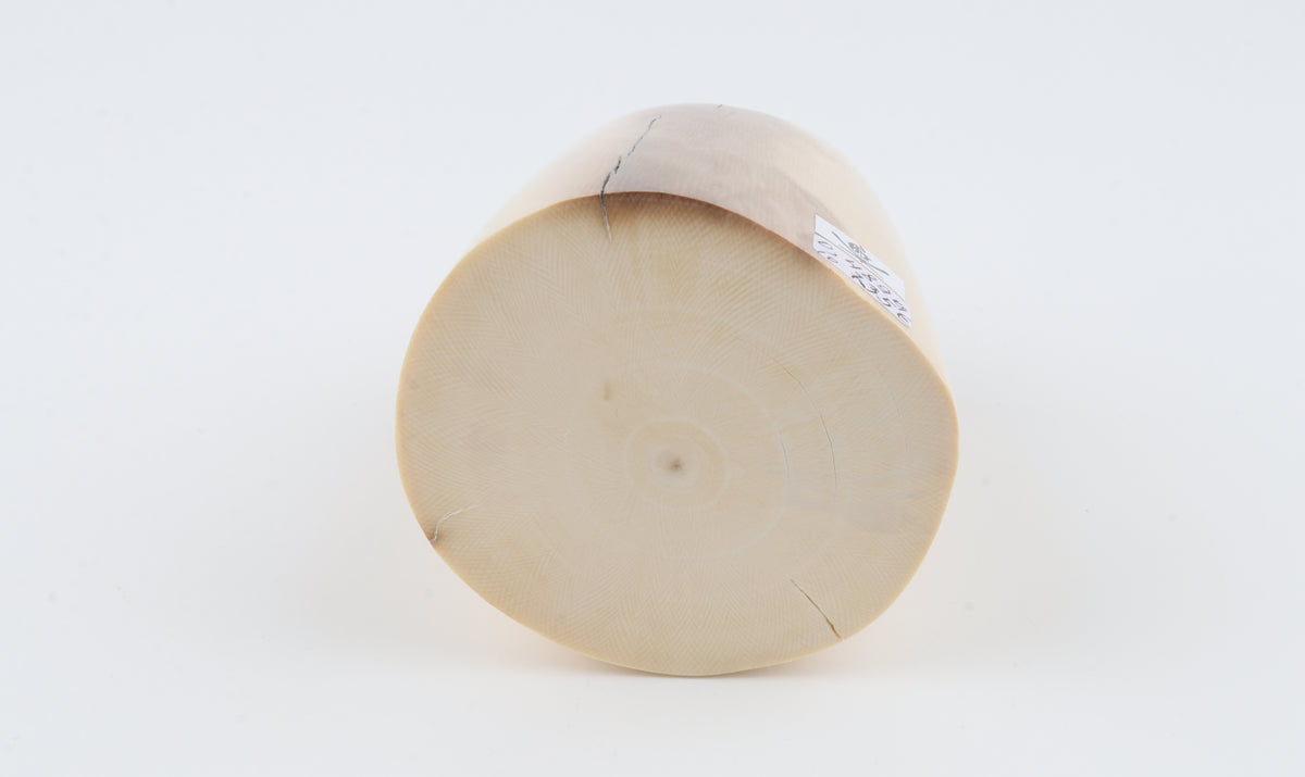 Round mammoth ivory piece