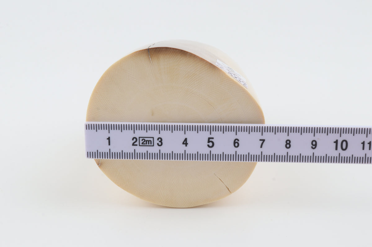 Round mammoth ivory piece