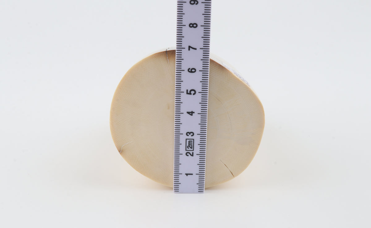 Round mammoth ivory piece