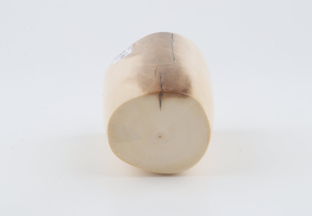 Round mammoth ivory piece