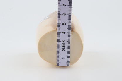 Round mammoth ivory piece