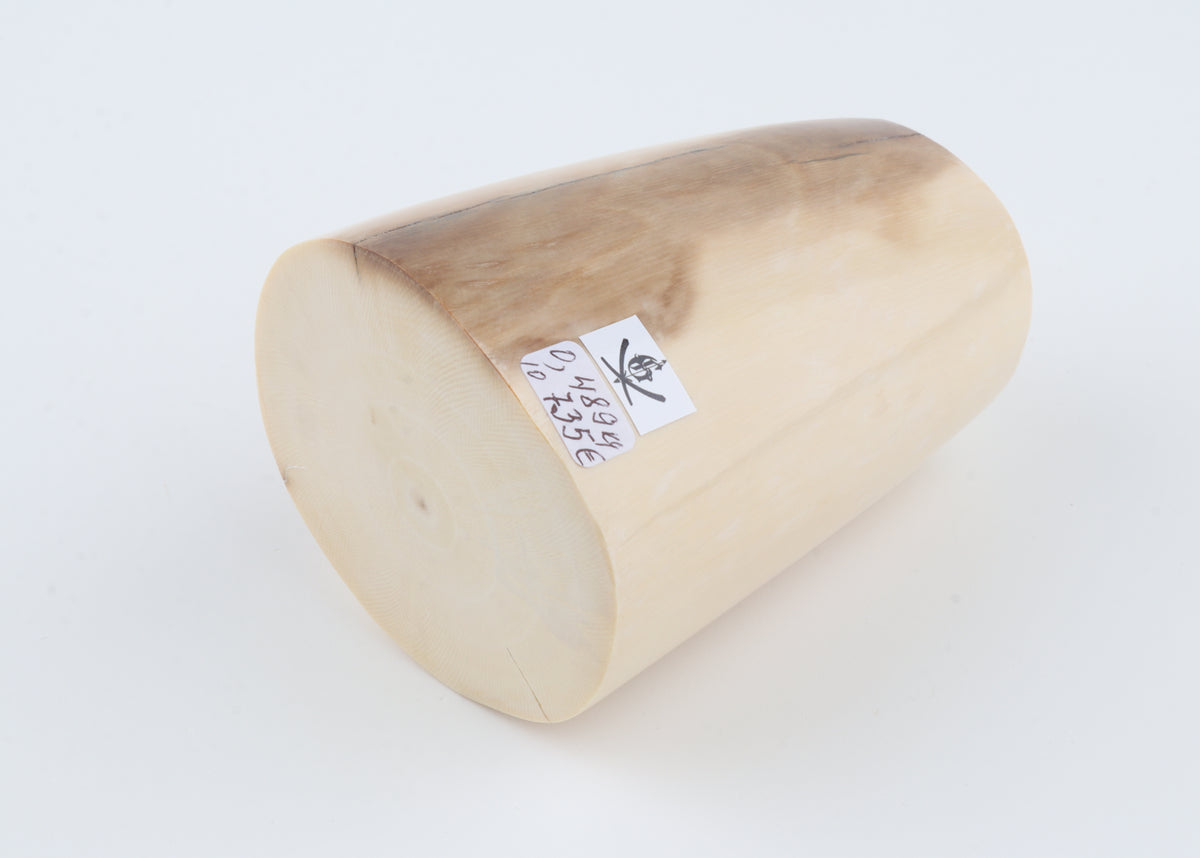 Round mammoth ivory piece