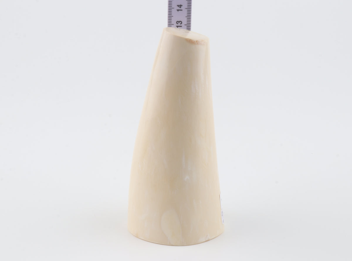 Round mammoth tusk piece
