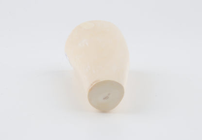 Round mammoth tusk piece