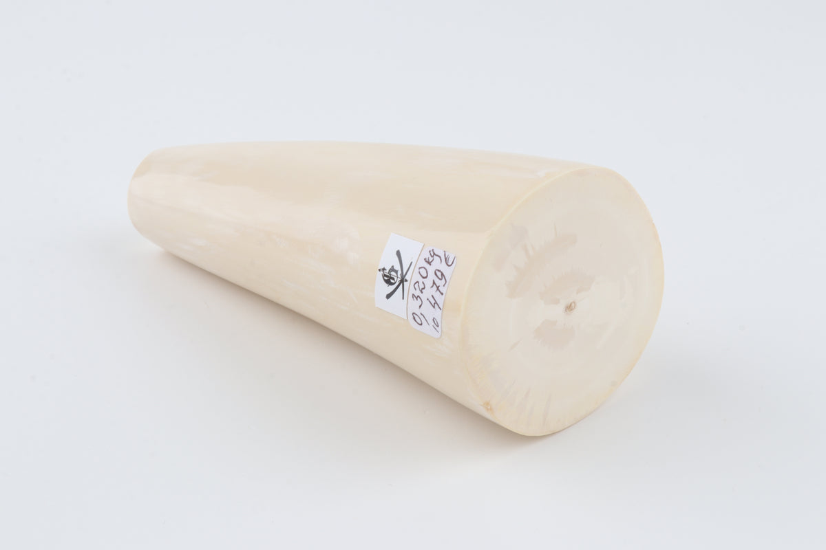 Round mammoth tusk piece
