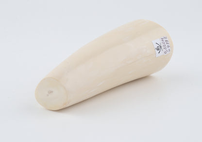 Round mammoth tusk piece