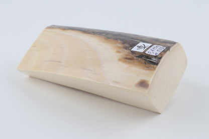 White mammoth ivory segment