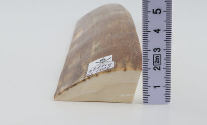 Natural mammoth ivory piece