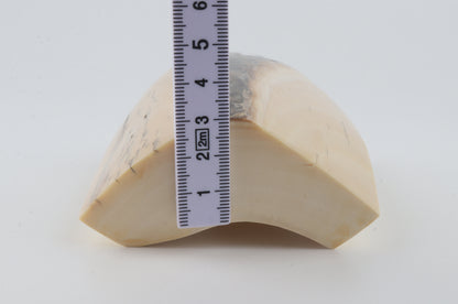 White mammoth ivory segment