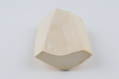 White mammoth ivory segment