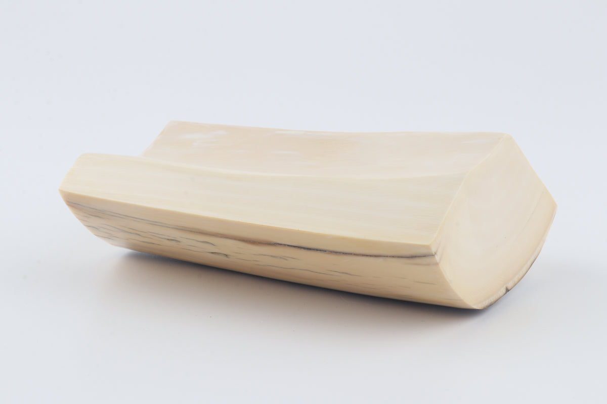 White mammoth ivory segment