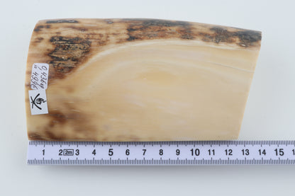 Natural mammoth ivory piece