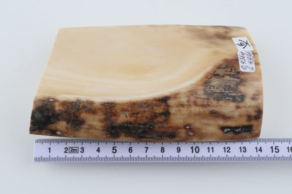 Natural mammoth ivory piece