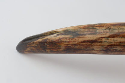 Natural woolly mammoth tusk