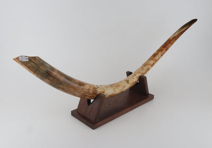 Natural woolly mammoth tusk