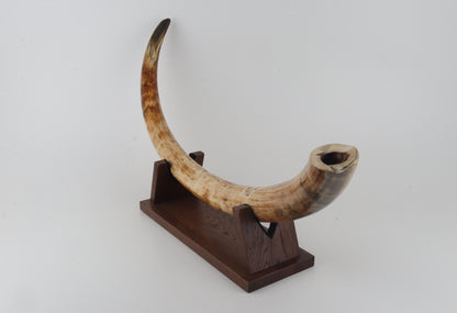 Natural woolly mammoth tusk